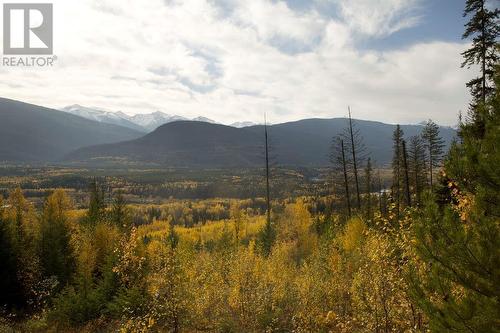 Dl 6034 E 16 Highway, Valemount, BC 