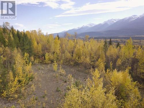 Dl 6034 E 16 Highway, Valemount, BC 