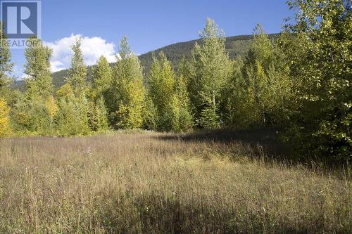 Dl 6034 E 16 Highway, Valemount, BC 