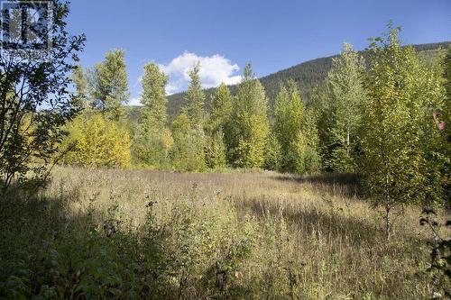 Dl 6034 E 16 Highway, Valemount, BC 