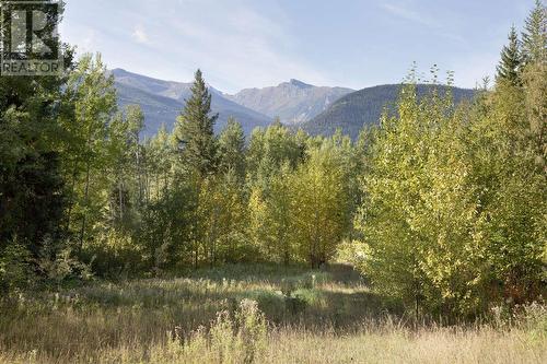 Dl 6034 E 16 Highway, Valemount, BC 