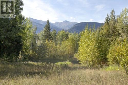 Dl 6034 E 16 Highway, Valemount, BC 