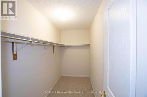 232 River Ridge Boulevard, Aurora, ON - Indoor With Storage