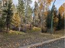 339 Poplar Drive, Logan Lake, BC 