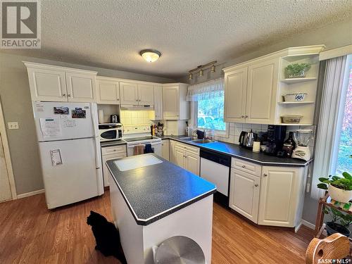 312 Park Avenue S, Langham, SK - Indoor Photo Showing Kitchen With Double Sink