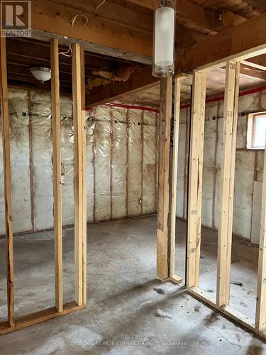 338 Carnegie Beach Road, Scugog, ON - Indoor Photo Showing Basement