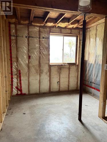 338 Carnegie Beach Road, Scugog, ON - Indoor Photo Showing Basement