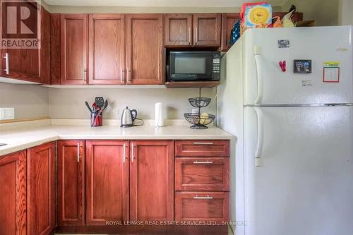 221 Grand River Avenue, Brantford, ON - Indoor Photo Showing Kitchen