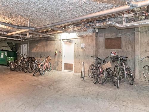 301-827 North Park St, Victoria, BC - Indoor Photo Showing Basement