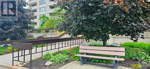 This is just one of the many spots that you could sit and enjoy the afternoon. This one just happens to be at the front entrance, a great place to wait for your visitors. - 2625-501 Regina Street, Ottawa, ON - Outdoor