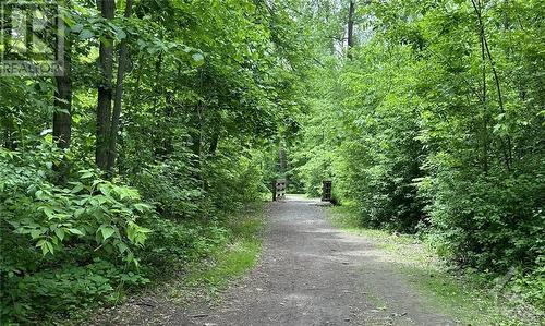 There are so many places to get outside to enjoy nature. - 2625-501 Regina Street, Ottawa, ON - Outdoor