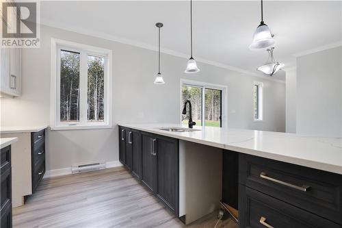 284 Kitley South Elmsey Townline Road, Smiths Falls, ON - Indoor Photo Showing Kitchen With Double Sink With Upgraded Kitchen