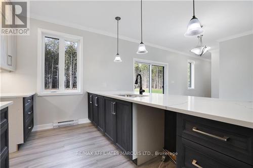 284 Kitley South Elmsey Townline Road, Rideau Lakes, ON - Indoor Photo Showing Kitchen With Double Sink With Upgraded Kitchen