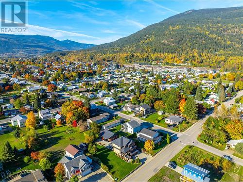 905 Edward Street, Revelstoke, BC - Outdoor With View