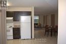 102 - 271 Lester Street, Waterloo, ON  - Indoor Photo Showing Kitchen 