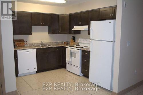 102 - 271 Lester Street, Waterloo, ON - Indoor Photo Showing Kitchen With Double Sink