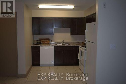 102 - 271 Lester Street, Waterloo, ON - Indoor Photo Showing Kitchen