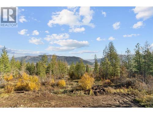 195 Twin Lakes Road, Enderby, BC - Outdoor With View