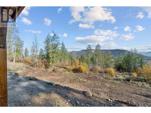 195 Twin Lakes Road, Enderby, BC - Outdoor With View