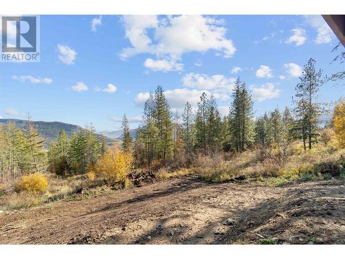 195 Twin Lakes Road, Enderby, BC - Outdoor With View