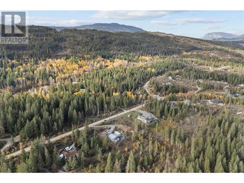 195 Twin Lakes Road, Enderby, BC - Outdoor With View