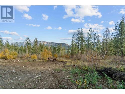 195 Twin Lakes Road, Enderby, BC - Outdoor With View