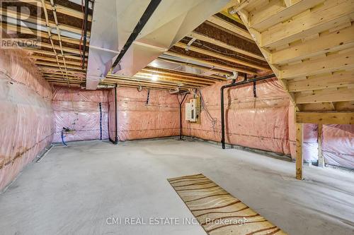 56 Pace Avenue, Brantford, ON - Indoor Photo Showing Basement