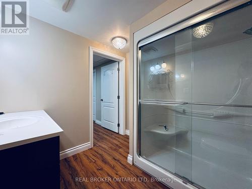 Bathroom (walkin shower) - Lower - 17 Bobolink Drive, Tillsonburg, ON - Indoor Photo Showing Bathroom