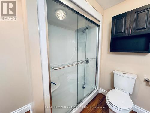 Bathroom (walkin shower/toilet) - Lower - 17 Bobolink Drive, Tillsonburg, ON - Indoor Photo Showing Bathroom