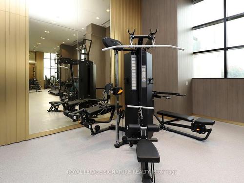 314-395 Dundas St W, Oakville, ON - Indoor Photo Showing Gym Room