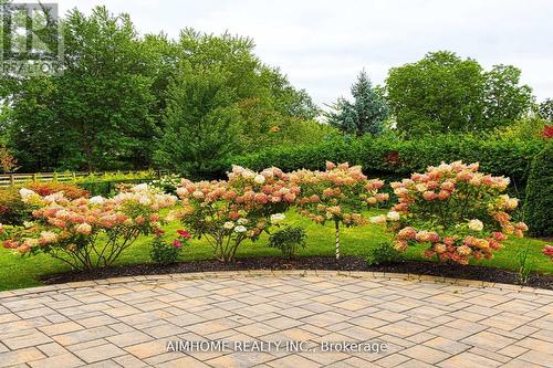 15 Birchbark Court, Richmond Hill, ON - Outdoor