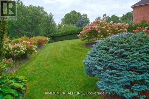 15 Birchbark Court, Richmond Hill, ON - Outdoor