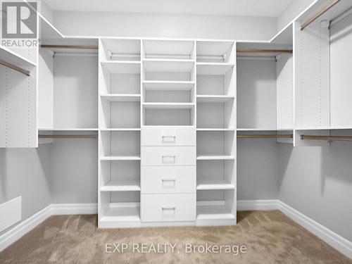 Primary Bedroom Closet - 202 - 460 Callaway Road, London, ON - Indoor With Storage