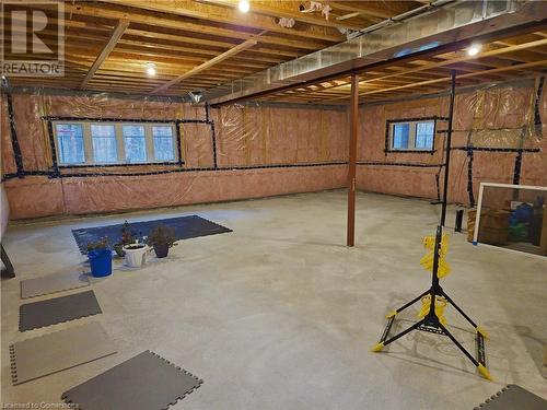 117 Nathalie Street, Kitchener, ON - Indoor Photo Showing Basement