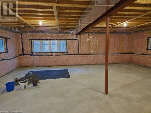 117 Nathalie Street, Kitchener, ON - Indoor Photo Showing Basement