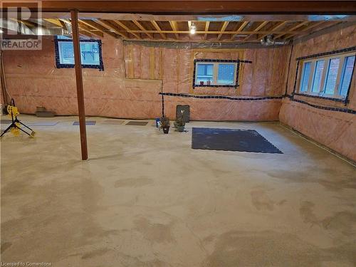 117 Nathalie Street, Kitchener, ON - Indoor Photo Showing Basement