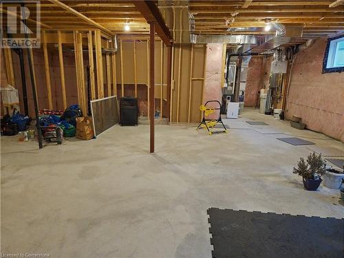 117 Nathalie Street, Kitchener, ON - Indoor Photo Showing Basement