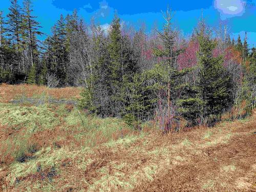 Lot 12 Matway Drive, St. Peter'S, NS 