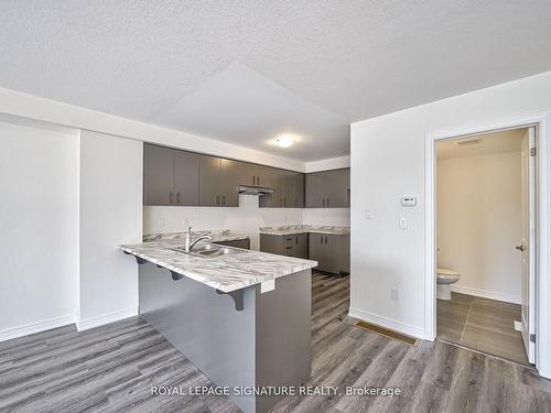 125-5 Roxanne Dr, Hamilton, ON - Indoor Photo Showing Kitchen With Double Sink