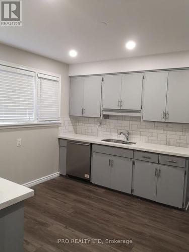 284 Cedar Crescent, Cambridge, ON - Indoor Photo Showing Kitchen With Double Sink