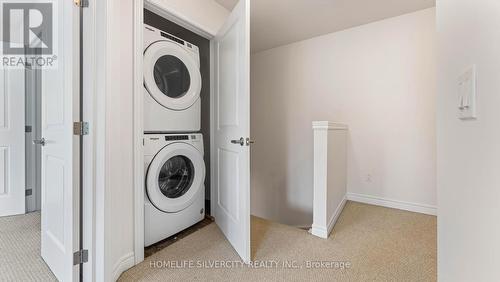 #113 - 77 Diana Avenue, Brantford, ON - Indoor Photo Showing Laundry Room