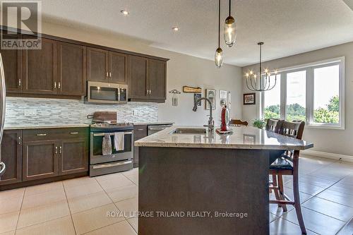 233 Wedgewood Drive, Woodstock, ON - Indoor Photo Showing Kitchen With Upgraded Kitchen