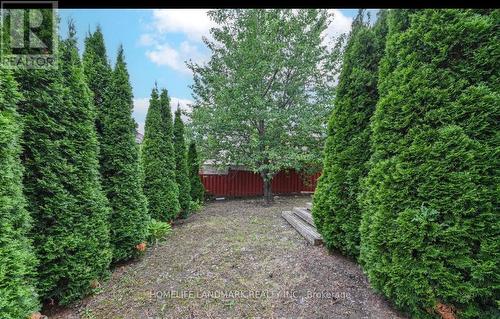 28 Dragon Tree Crescent, Brampton, ON - Outdoor