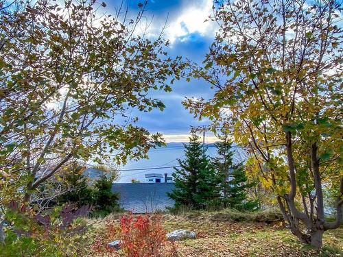 53 Ship Cove Road, Port De Grave, NL 