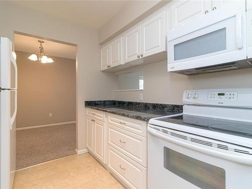 309-2757 Quadra St, Victoria, BC - Indoor Photo Showing Kitchen