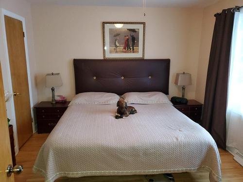 IntÃ©rieur - 1115  - 1119 Rue St-Louis, Terrebonne (Terrebonne), QC - Indoor Photo Showing Bedroom