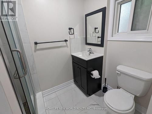 212 Elm Avenue, Georgina, ON - Indoor Photo Showing Bathroom