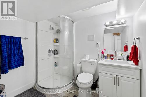 1466 Trafalgar Street, London, ON - Indoor Photo Showing Bathroom