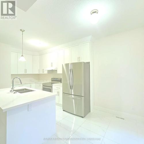 118 King Street E, Ingersoll, ON - Indoor Photo Showing Kitchen With Double Sink