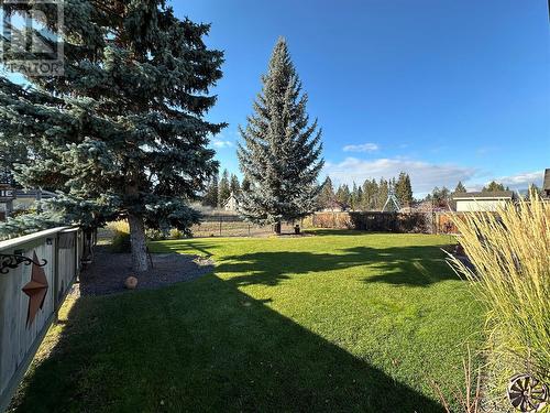 1881 Foxwood Trail, Windermere, BC - Outdoor With Backyard